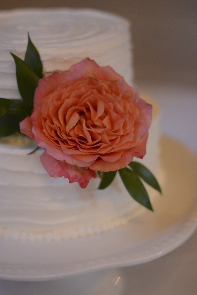 maine wedding with tent