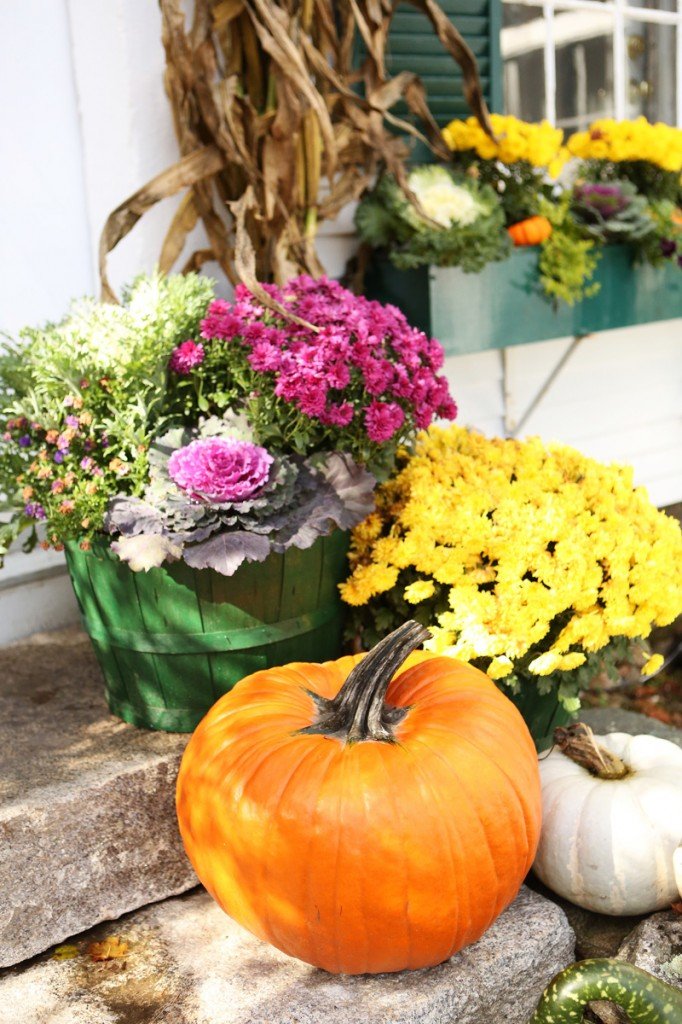 maine barn wedding