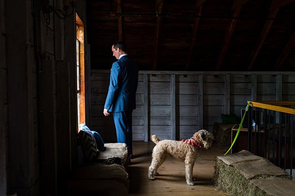 Groom with dog - wedding day